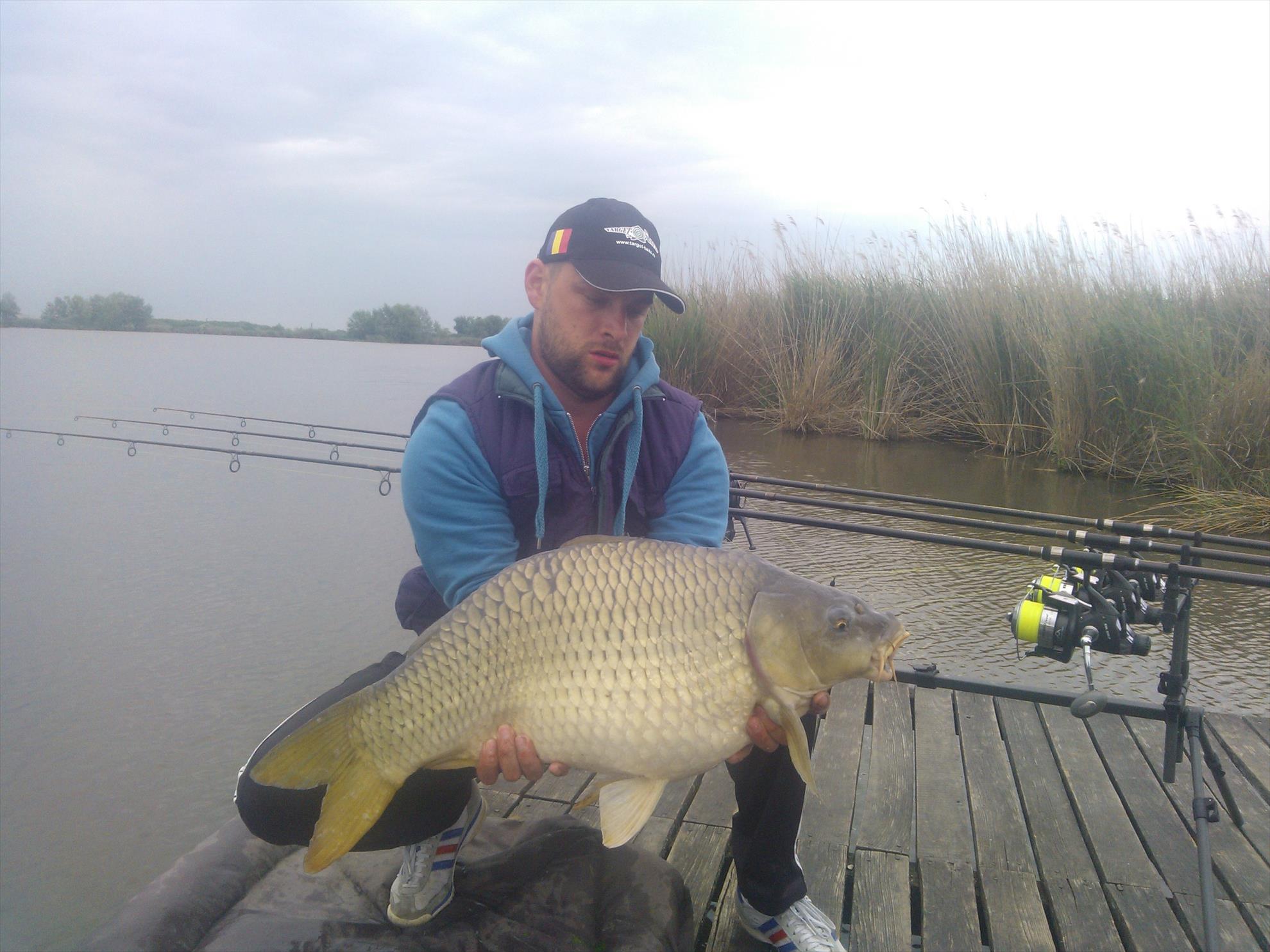 ohat 3 2015 - wp001963.jpg